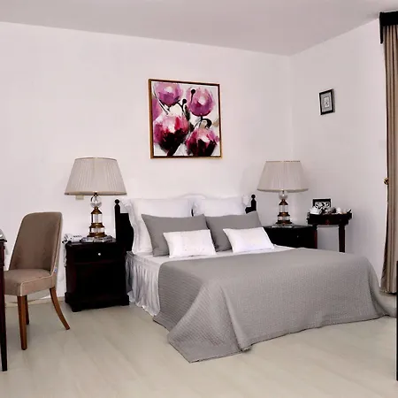 Princess Artemisia - Interni Hotel