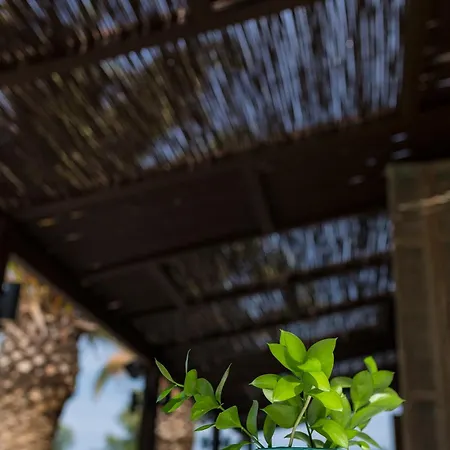 Princess Artemisia - Interni 3*