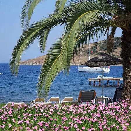 Princess Artemisia - Interni Hotel Yalıkavak