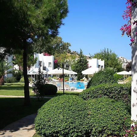 Princess Artemisia - Interni 2* Yalıkavak