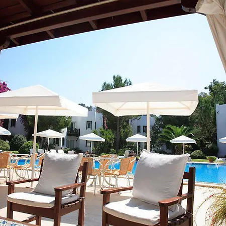 Princess Artemisia - Interni Hotel 2*