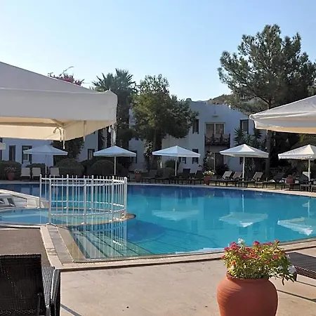 Princess Artemisia - Interni Hotel 3*
