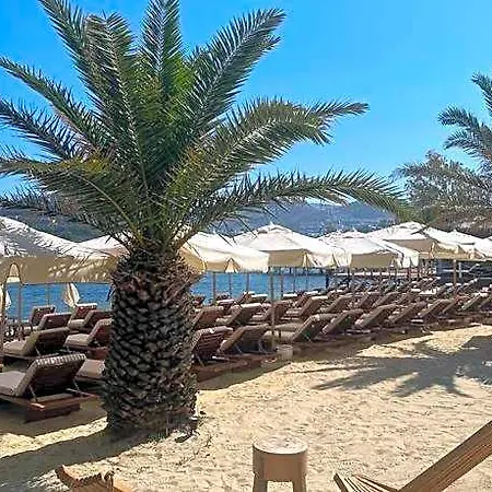 Princess Artemisia - Interni Hotel Yalıkavak