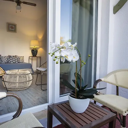 Princess Artemisia - Interni