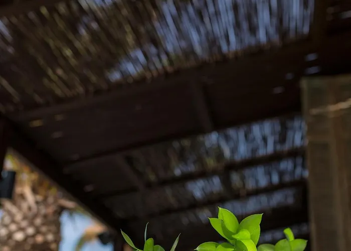 Princess Artemisia - Interni 3*