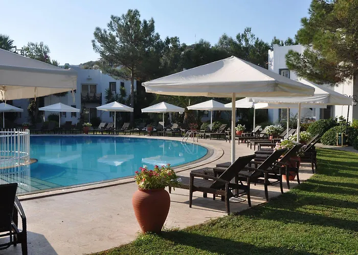 فندق Princess Artemisia - Interni 3*