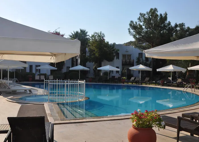 Princess Artemisia - Interni