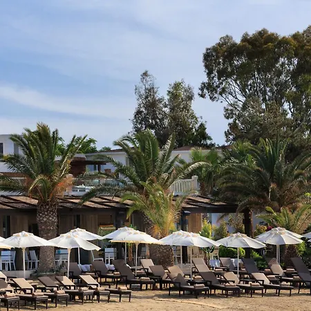 Princess Artemisia - Interni يالِكافاك