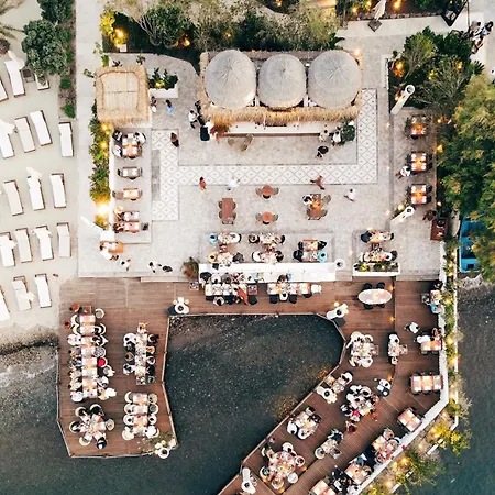 Princess Artemisia - Interni