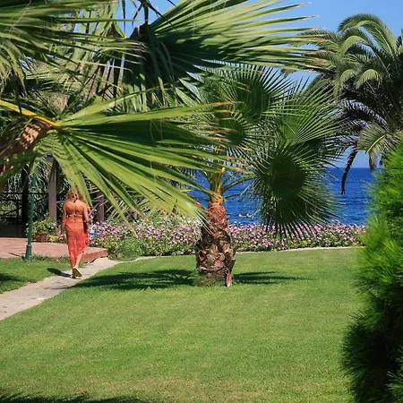 Princess Artemisia - Interni يالِكافاك