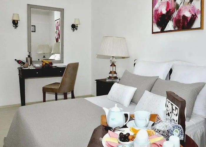 Princess Artemisia - Interni