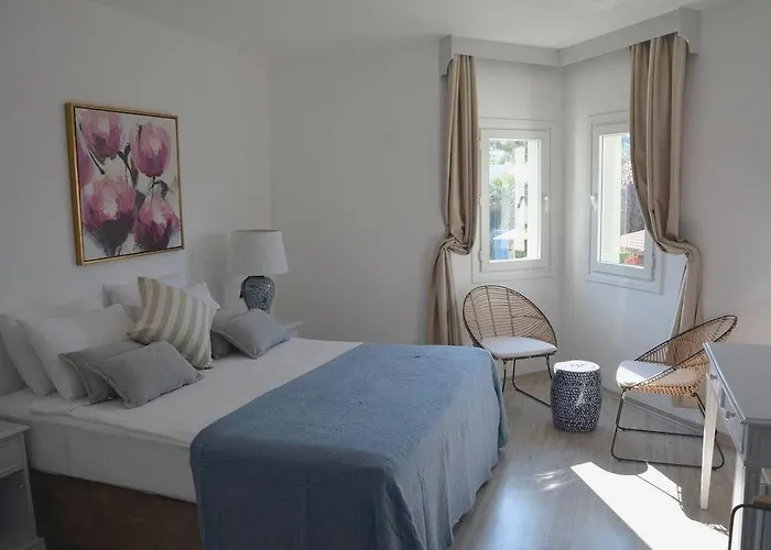 Princess Artemisia - Interni