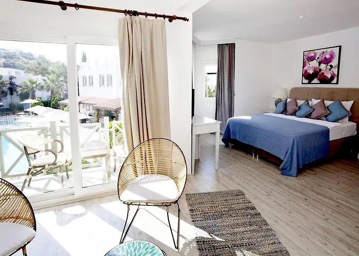 Princess Artemisia - Interni