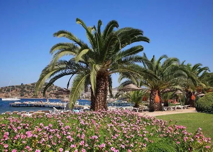 Princess Artemisia - Interni 3* Yalıkavak