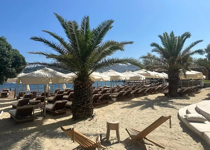 Hotel Princess Artemisia - Interni