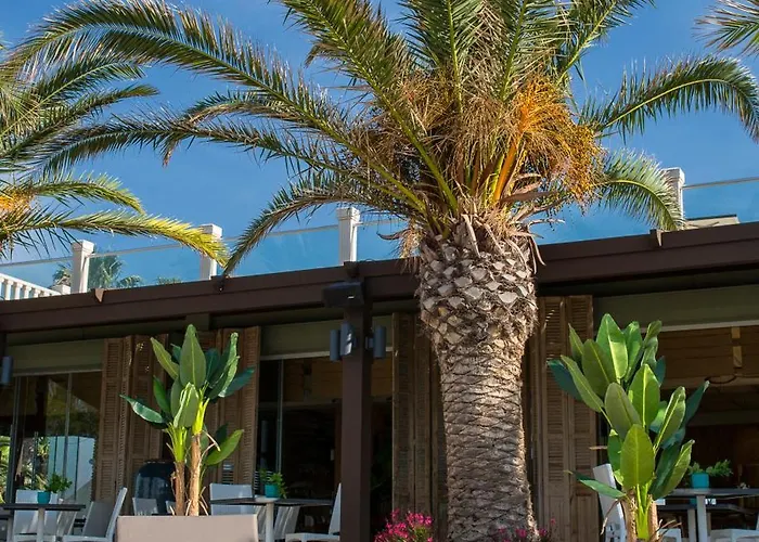 Hotel Princess Artemisia - Interni Yalıkavak