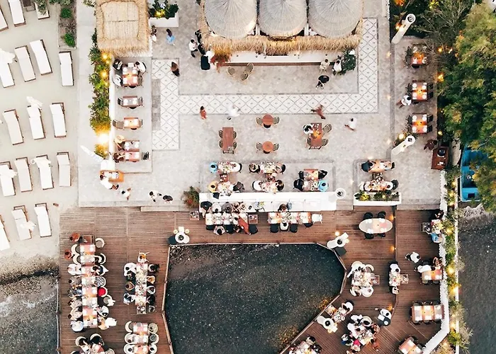 Princess Artemisia - Interni