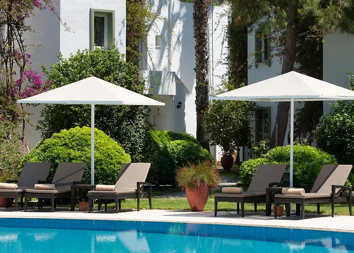 Princess Artemisia - Interni Hotel 3*