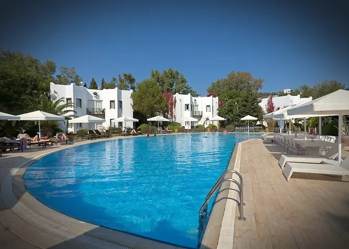 Princess Artemisia - Interni 3*