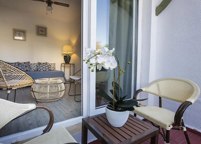 Princess Artemisia - Interni