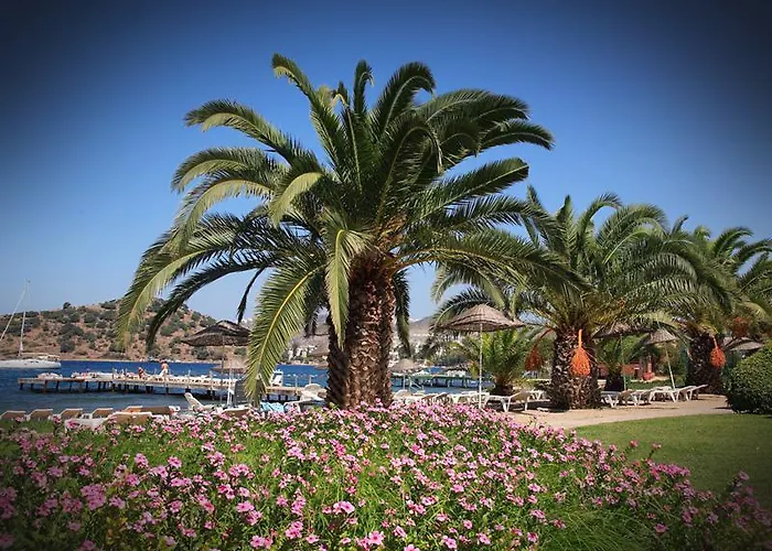 Princess Artemisia - Interni 3*