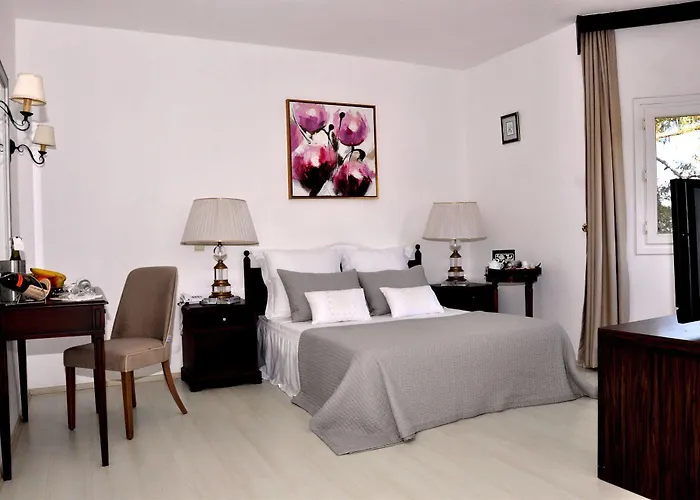 Princess Artemisia - Interni Hotel