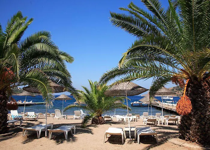 Ξενοδοχείο Princess Artemisia - Interni 3*